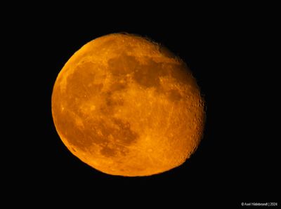 Moon