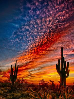 Arizona scenery