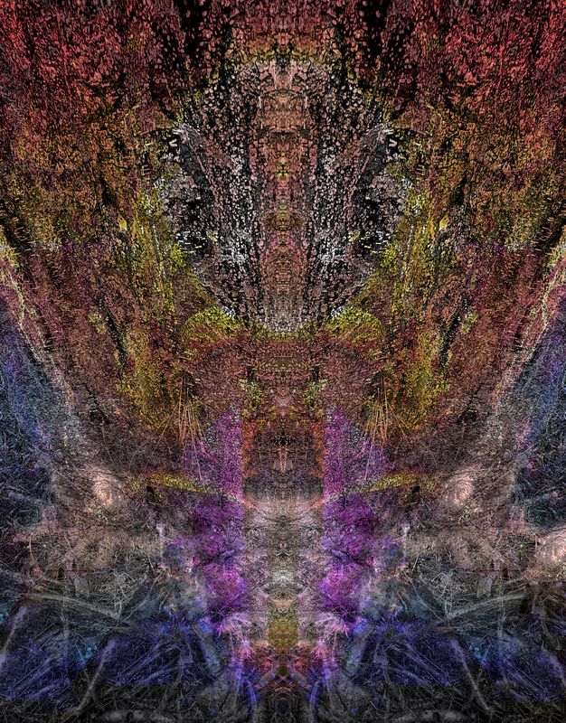 E220701A-3CA7-4DA4-A7D5-999D033273BE.jpeg