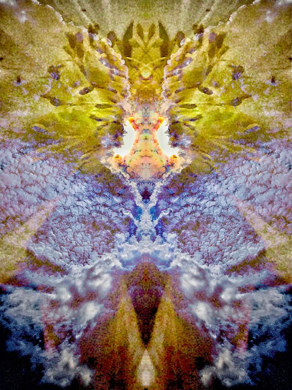 D212D46E-15D1-4084-9B94-6A39FEEC8578.jpeg