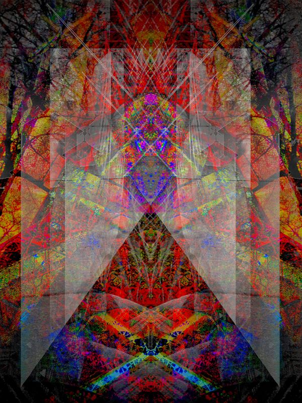 8D256B35-356A-4BB9-9D6C-548C29CD875D.jpeg