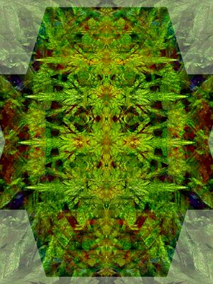 g13/39/673839/3/173418328.e21e643f.JPEG