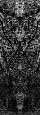 g13/39/673839/3/173456048.74a49301.JPEG