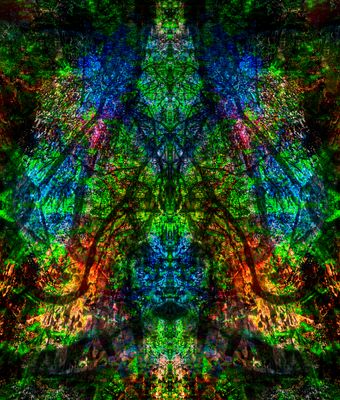 g13/39/673839/3/173461227.fe54230f.JPEG