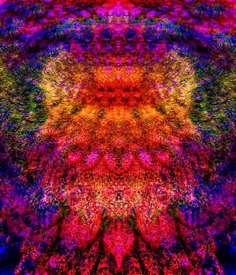 g13/39/673839/3/173751973.b6c2958e.JPEG