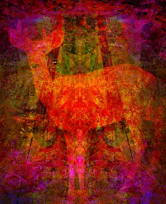 g13/39/673839/3/173853892.5ed7ebc5.JPEG