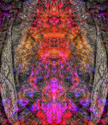 g13/39/673839/3/173886171.4b22c8ce.JPEG