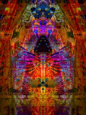 g13/39/673839/3/174057501.3cb3ab39.JPEG