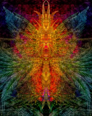 g13/39/673839/3/174373272.b6a75b0d.JPEG