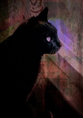 g13/39/673839/3/175234671.c0e50ed8.JPEG