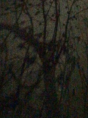 g13/39/673839/3/175360331.d0e6f8c7.JPEG