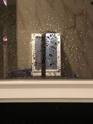 g13/39/673839/3/175619051.a1a10531.JPEG