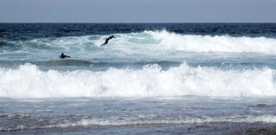 Surfing at Vale de Figueiras beach