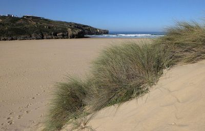 Amoreira beach from dunes.