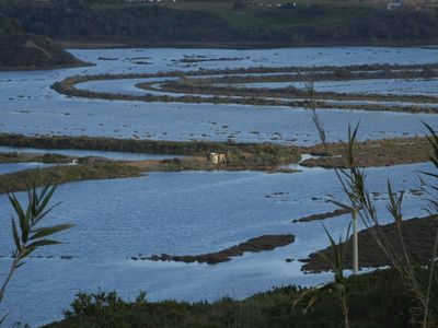 Amoreira river and oyster beds 