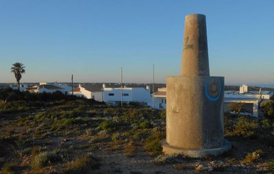 No idea what this is_lots of them around often in middle of scrubland