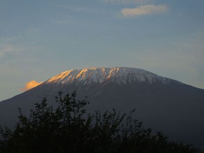 Kilimanjaro just after sunrise