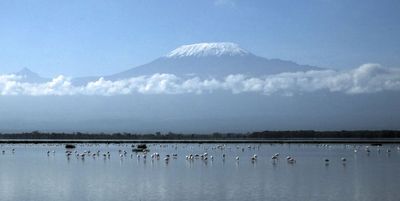 Flamingos and Kilimanjaro