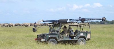Film Crew allowed off road to follow certain elephants