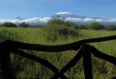Kilimanjaro from Tent 8