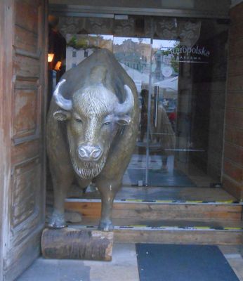 Bison outside Old Polish Inn_Main Market Square