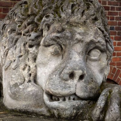 Lion guarding Town Hall Tower