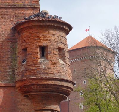 Wawel Castle pigeon loft maybe