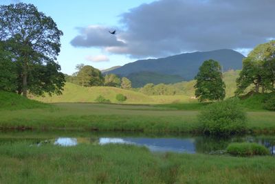 River Brathay view