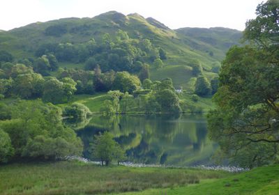 Loughrigg Tarn from road