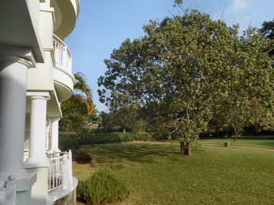 Hemingways Gardens from Burton Suite.