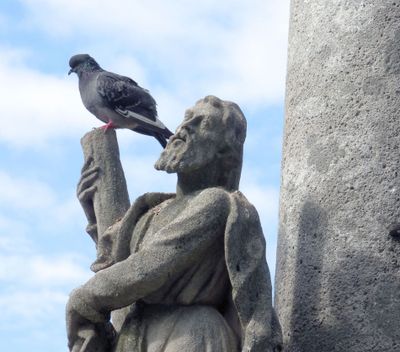 Holy Trinity Column detail with pigeon