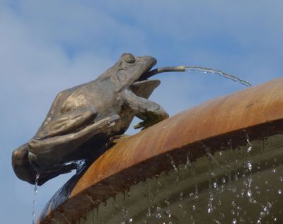 Frog spout Ganymede Fountain outside Slovak National Theatre