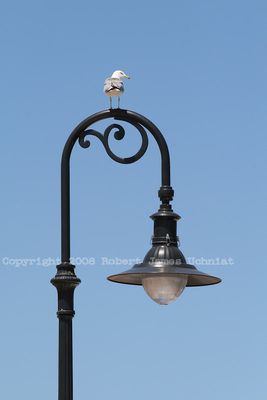 Lamp post Charlevoix 08.JPG