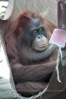 IMG_1898.jpg