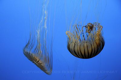 IMG_1861.jpg