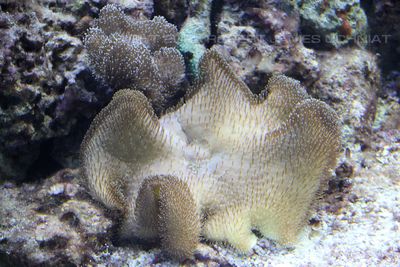 IMG_1853.jpg