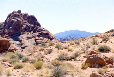 Nevada 2001