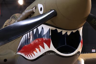 Curtiss P-40 sharkmouth.jpg