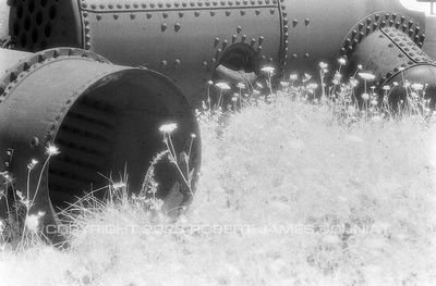 Boilers and Wildflowers infrared 98