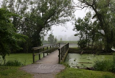 LSCM Fog 3 24.jpg