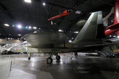 Streak Eagle back 24.jpg