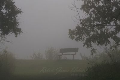 Stoney Bench fog 24.jpg