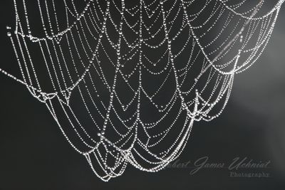 Web and Dew necklace 24.jpg