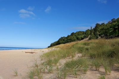 Lake Michigan Shore and grass 24.jpg