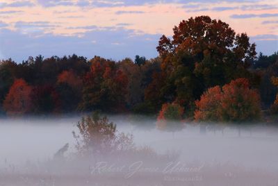 Fall Color and fog 24.jpg