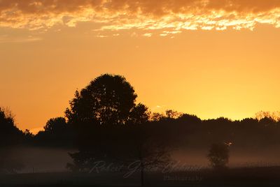 Orange Sunrise 24.jpg