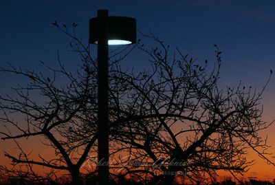 Street Light and Sunrise 24.jpg