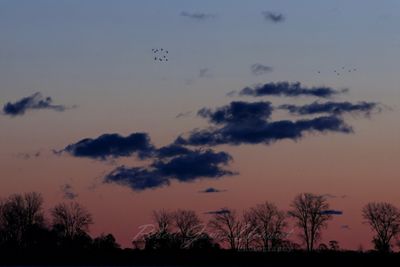 Migrating Birds and Sunrise 24.jpg