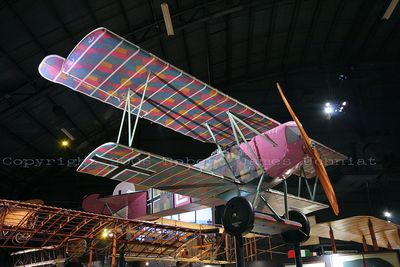 Fokker DVII 