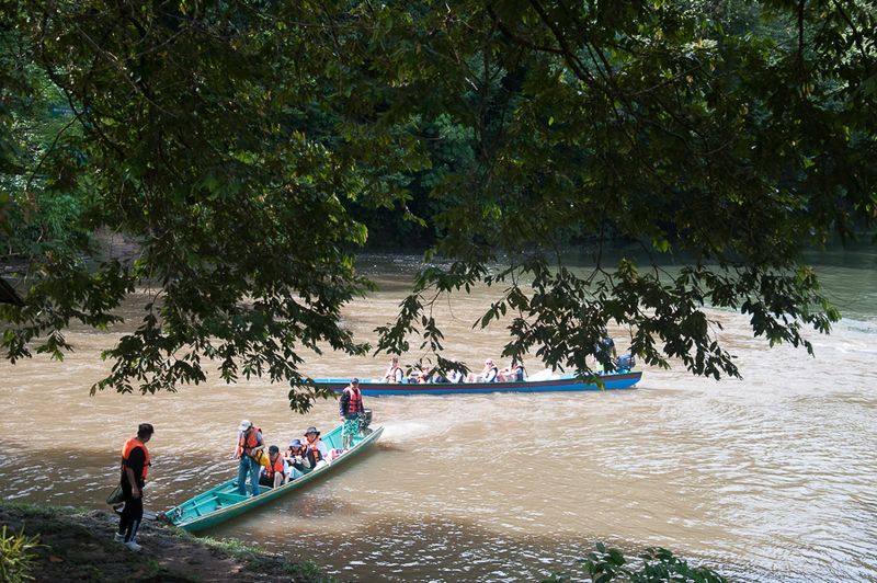 Longboats on the Temburong River
